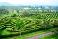 4 Tempat Wisata di Bogor Untuk Anak Perlu Anda Ketahui